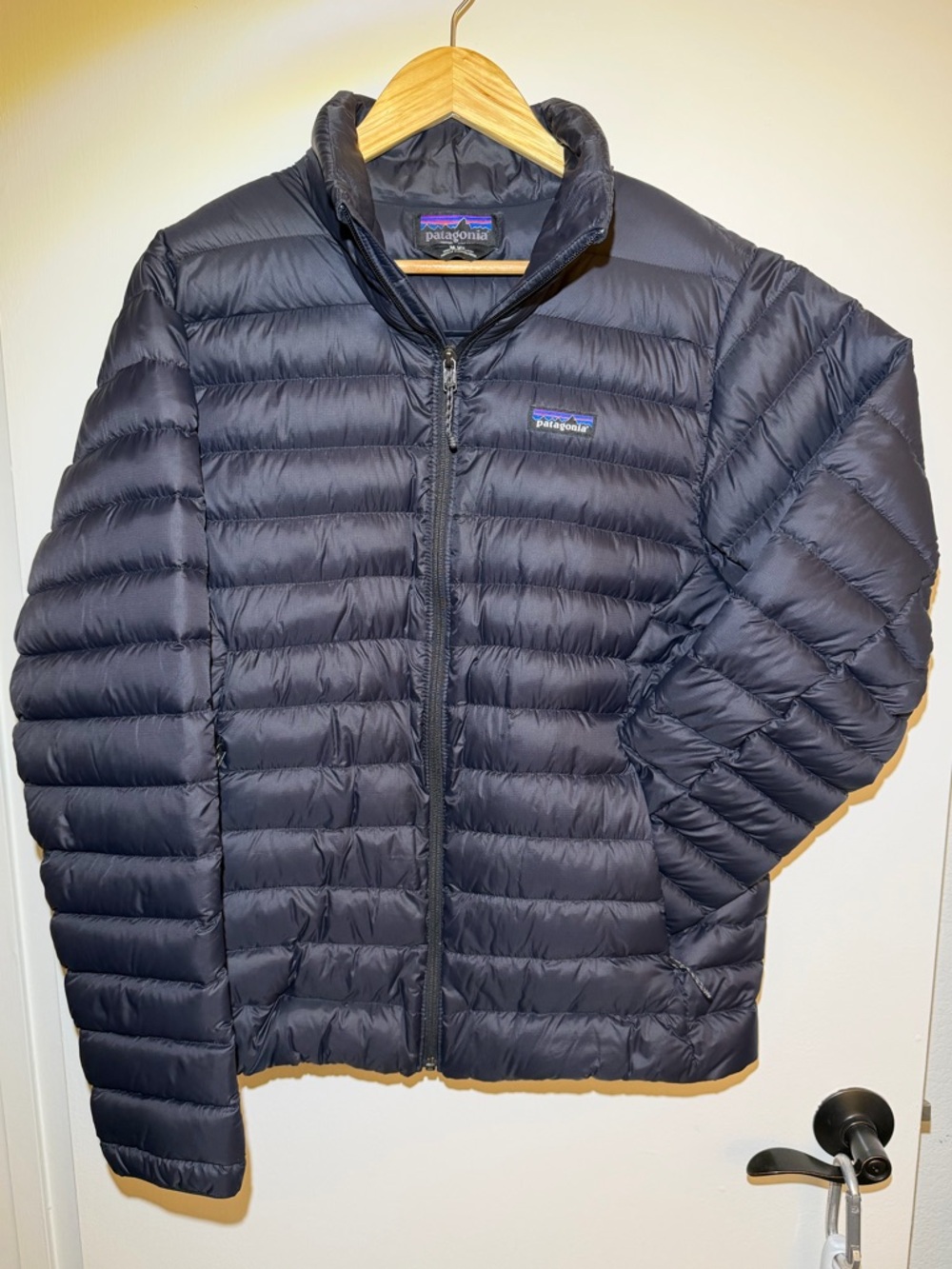 Patagonia Men's Down Sweater Jacket